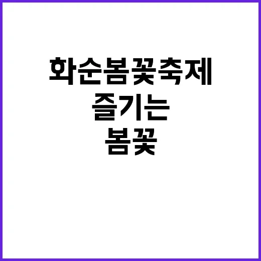화순 봄꽃축제를 완벽하게 즐기는 방법