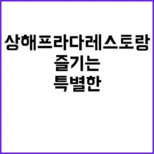 상해 프라다 레스토랑에서 특별한 경험을 즐기는 방법