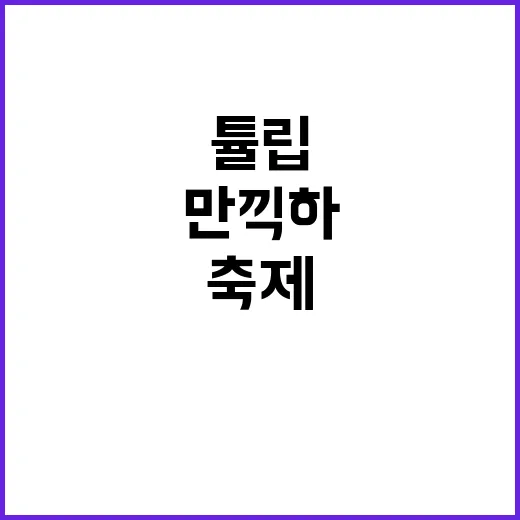 태안 튤립축제를 만끽하는 방법