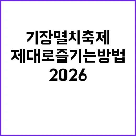 2026 기장멸치축제를 제대로 즐기는 방법