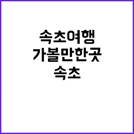 속초 여행을 완벽하…