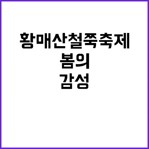 황매산 철쭉축제를 즐기는 방법: 감성 가득한 봄의 하루