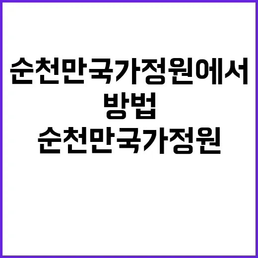 순천만국가정원에서 자연과 하나 되는 방법