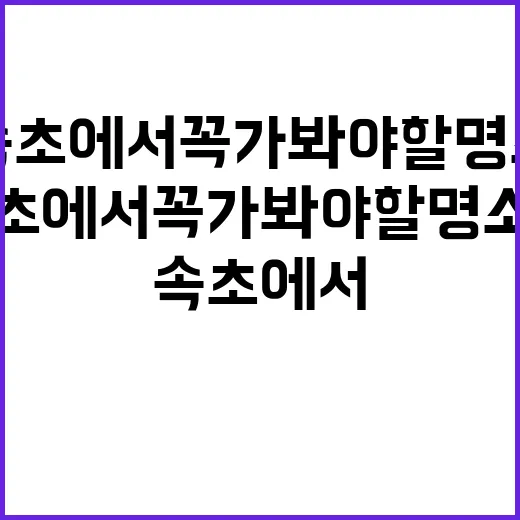 속초에서 꼭 가봐야 할 명소들