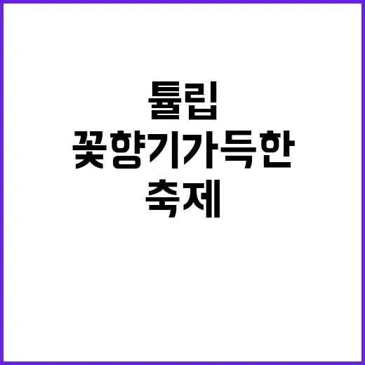태안 튤립축제 즐기는 방법: 꽃향기 가득한 여행