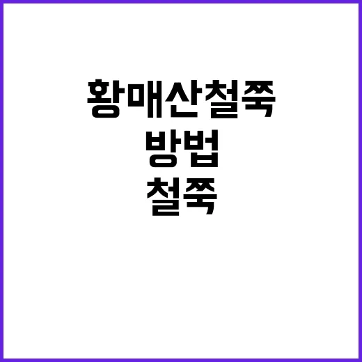 황매산 철쭉을 만끽하는 방법