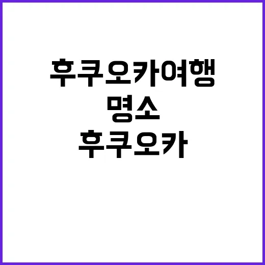 후쿠오카 여행: 꼭 방문해야 할 명소와 숨은 보석 찾는 방법