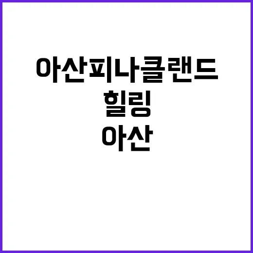 아산 피나클랜드에서 자연과 함께 힐링하는 방법