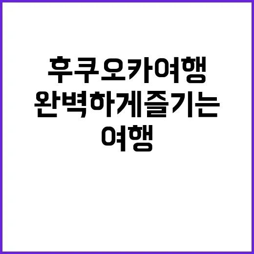 후쿠오카 여행을 완벽하게 즐기는 방법