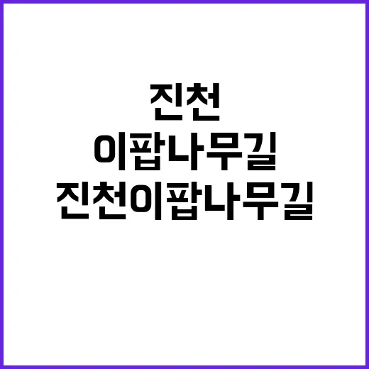 진천 이팝나무길을 …