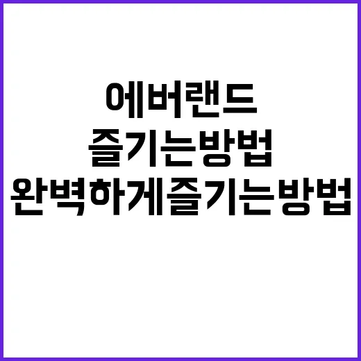 에버랜드를 완벽하게 즐기는 방법