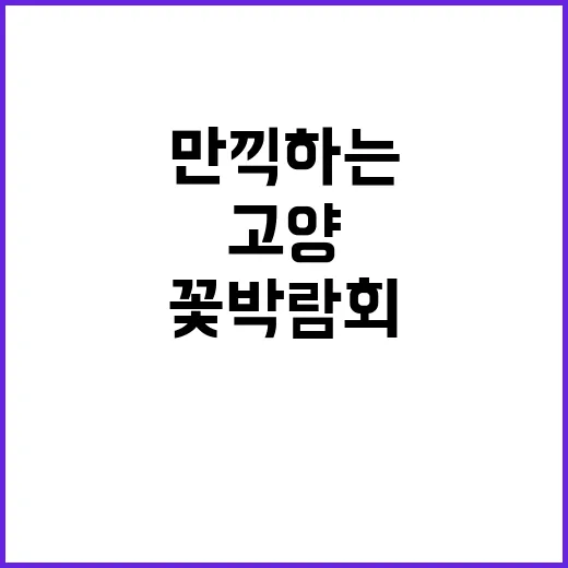 고양 꽃박람회를 만끽하는 방법
