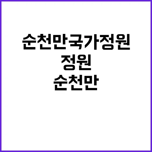 순천만국가정원을 즐기는 방법: 자연과 하나되기