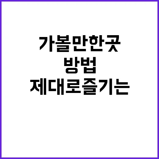 후쿠오카를 제대로 …