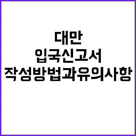 대만 입국신고서 작…