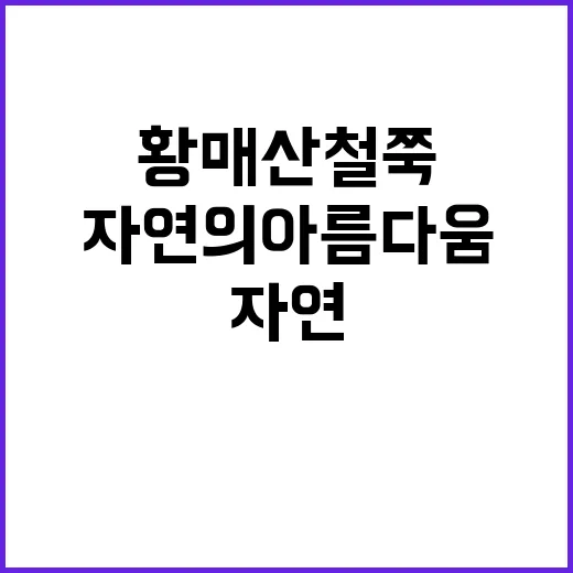 황매산 철쭉을 감상하는 방법: 자연의 아름다움 속으로