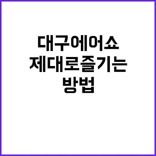 대구 에어쇼를 제대로 즐기는 방법