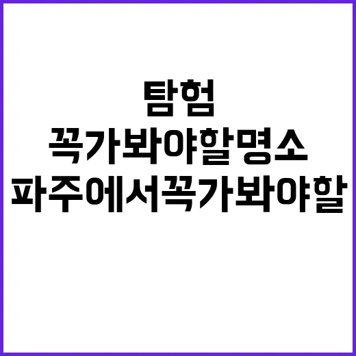 파주에서 꼭 가봐야 할 명소를 탐험하는 방법