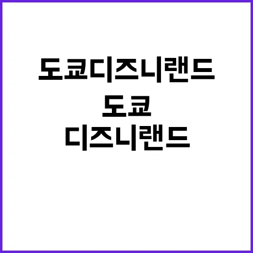 도쿄 디즈니랜드를 완벽히 즐기는 방법