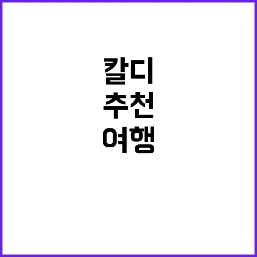 여행 중 필수 아이템: 칼디에서 추천하는 여행자를 위한 최고의 제품들