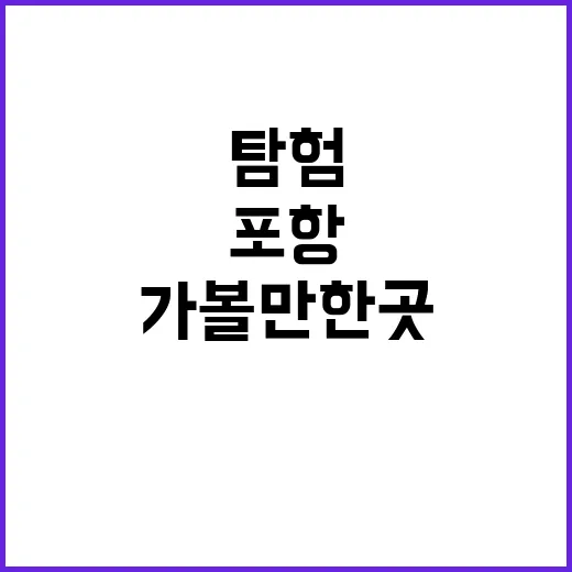 포항 가볼만한곳을 …