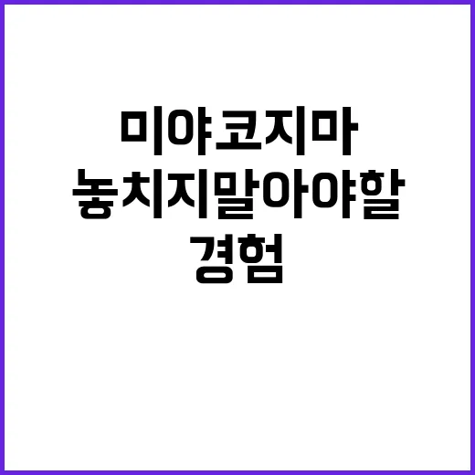 미야코지마에서 놓치…
