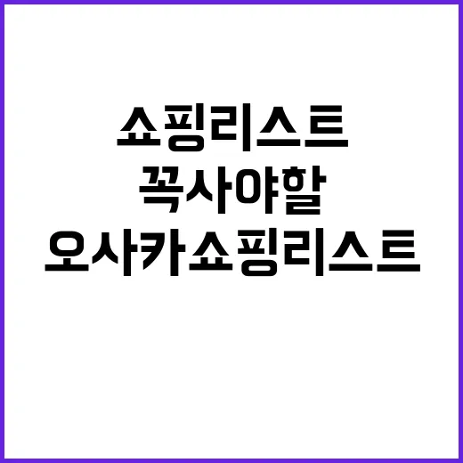 오사카 쇼핑리스트: 여행 중 꼭 사야 할 아이템과 팁