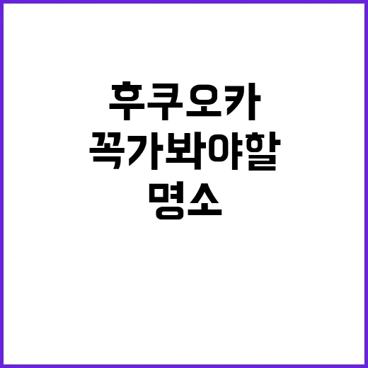 후쿠오카에서 꼭 가봐야 할 명소를 찾는 방법