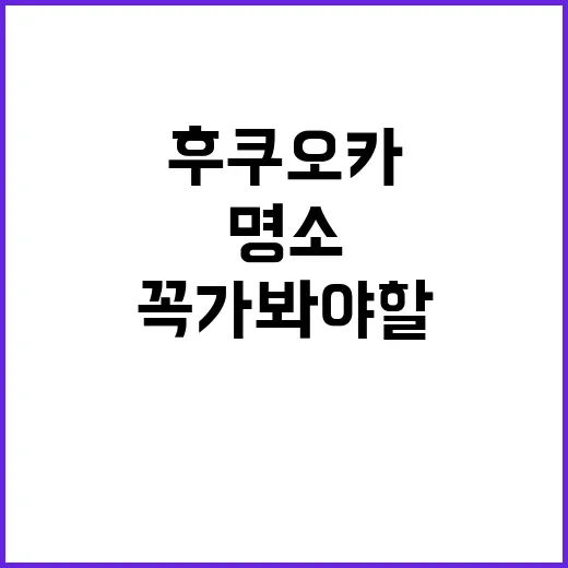 후쿠오카에서 꼭 가봐야 할 명소를 즐기는 방법
