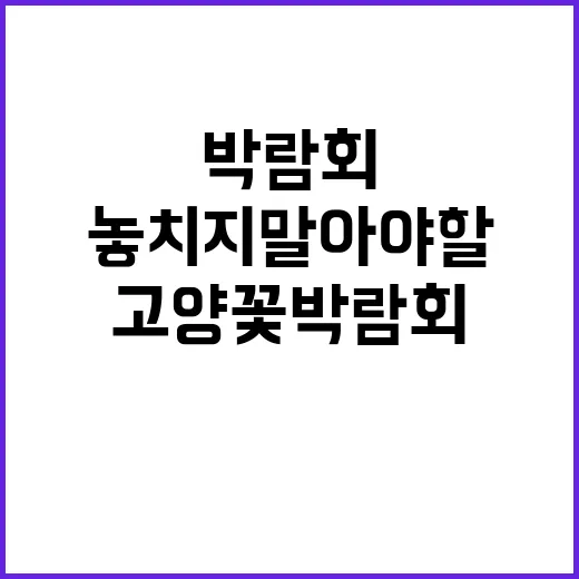 고양 꽃박람회를 즐기는 방법: 놓치지 말아야 할 포인트