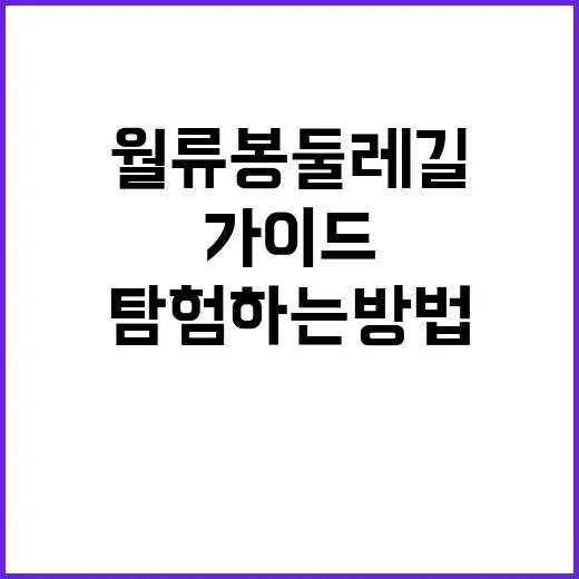 월류봉 둘레길을 탐…