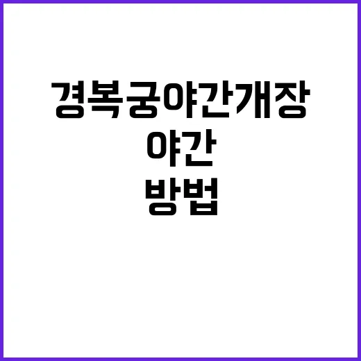 경복궁 야간개장을 …