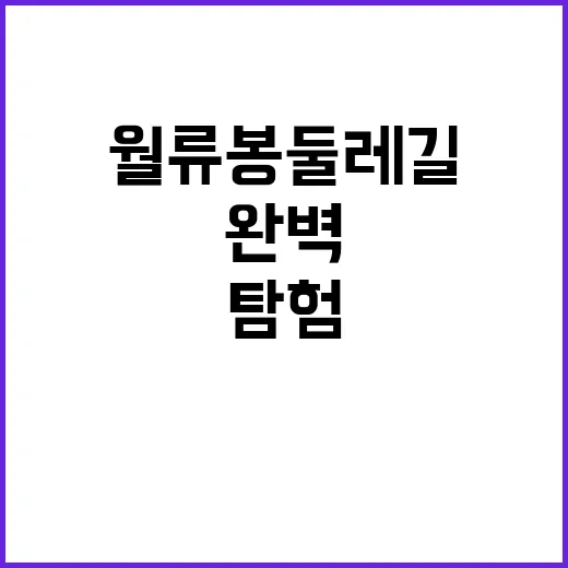 월류봉 둘레길을 완벽하게 탐험하는 방법
