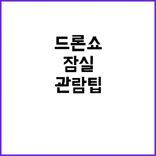 잠실 드론쇼를 즐기…