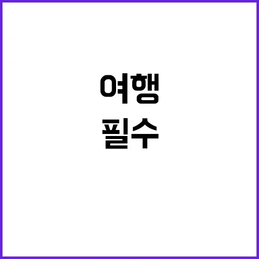 알리페이 사용법: …