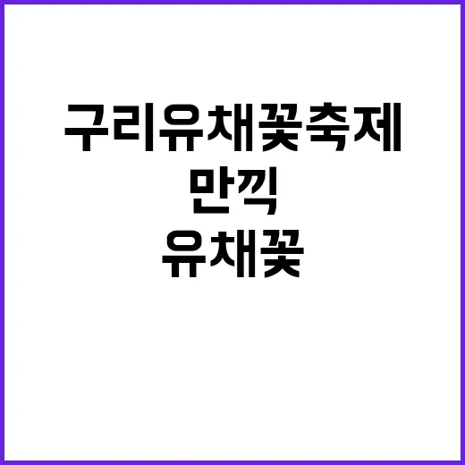구리 유채꽃 축제를 만끽하는 방법