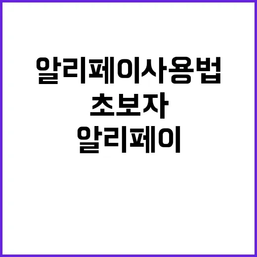 초보자를 위한 알리페이 사용법