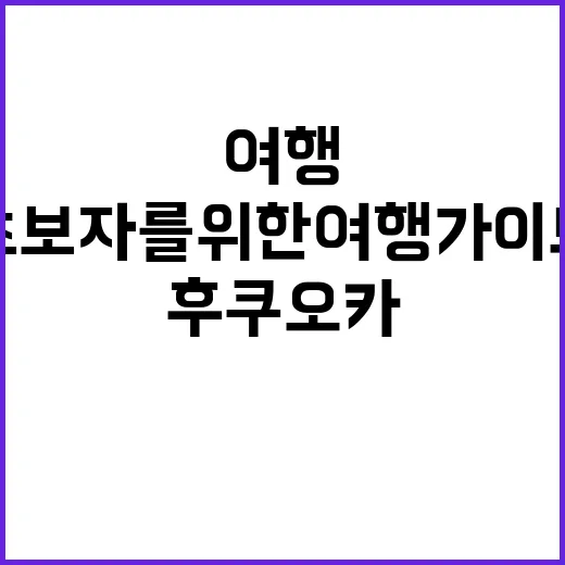 후쿠오카를 완벽히 즐기는 방법: 초보자를 위한 여행 가이드