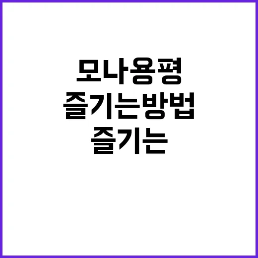 모나용평 이나트를 …