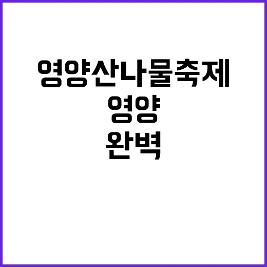 영양 산나물축제를 완벽하게 즐기는 방법