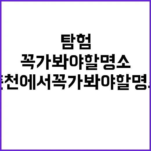 춘천에서 꼭 가봐야…