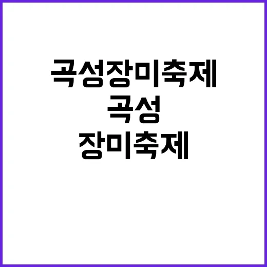 곡성 장미축제를 완벽히 즐기는 방법