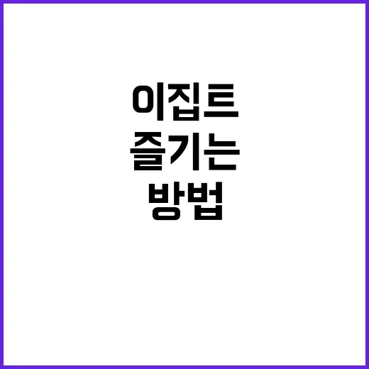 이집트 칼빵이를 즐기는 방법: 초보자를 위한 가이드