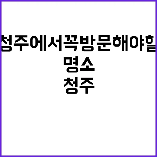 청주에서 꼭 방문해…