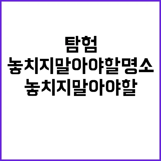 삼척에서 놓치지 말…