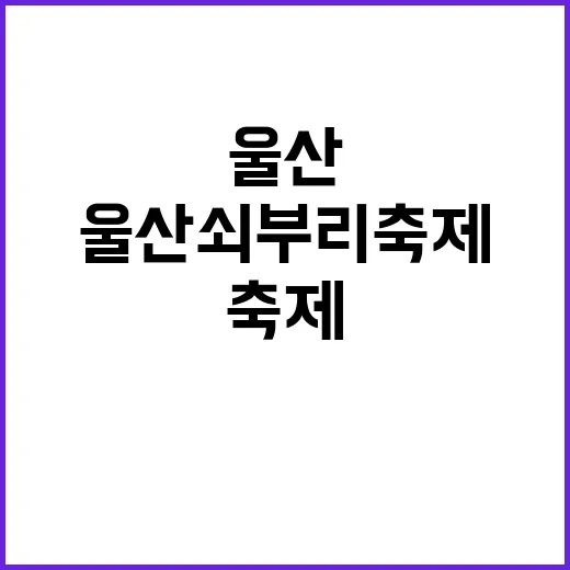 울산쇠부리축제에서 잊지 못할 경험을 만드는 방법