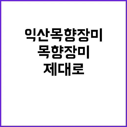 익산 목향장미를 제…