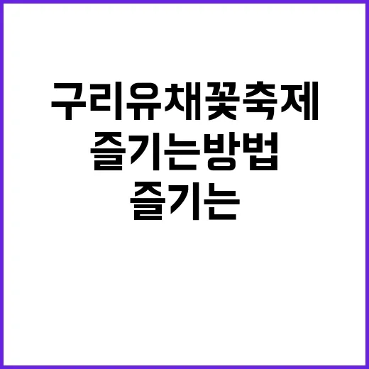 구리 유채꽃 축제를…