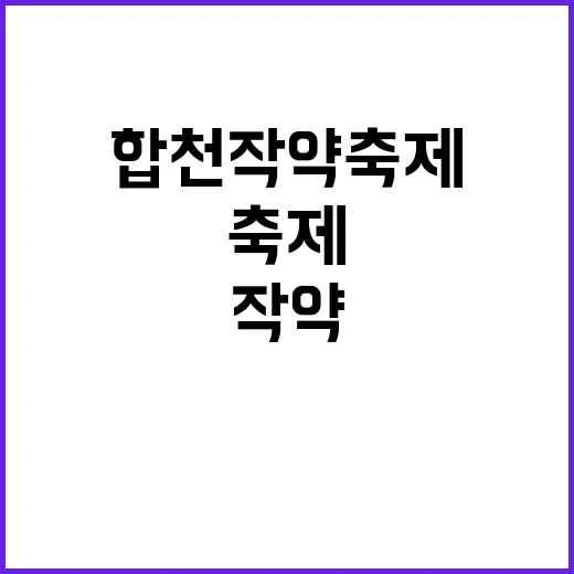 합천 작약축제를 즐…