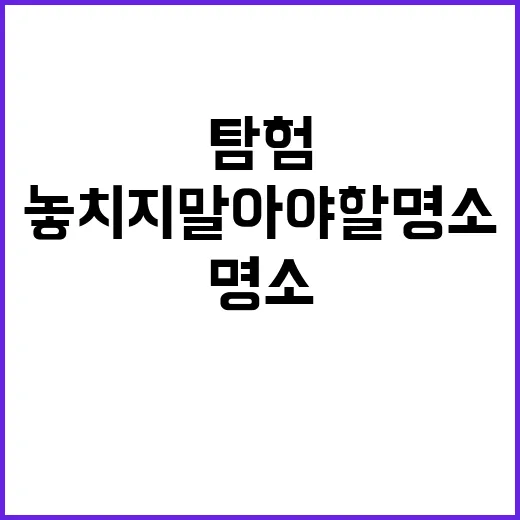청주에서 놓치지 말…